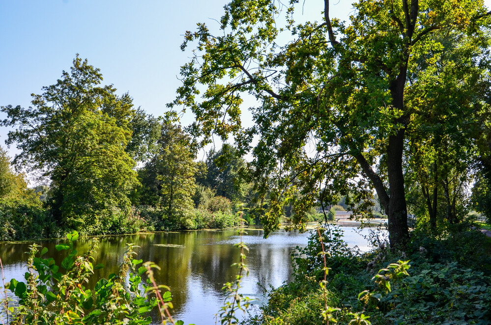 Rund um Bach, Fluss, Kanal und See "Altarm"
Perla
Schlüsselwörter: 2024