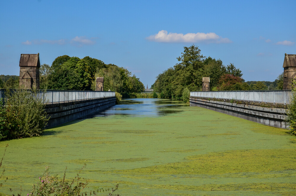 Rund um Bach, Fluss, Kanal und See "Alte Fahrt Olfen"
Perla
Schlüsselwörter: 2024