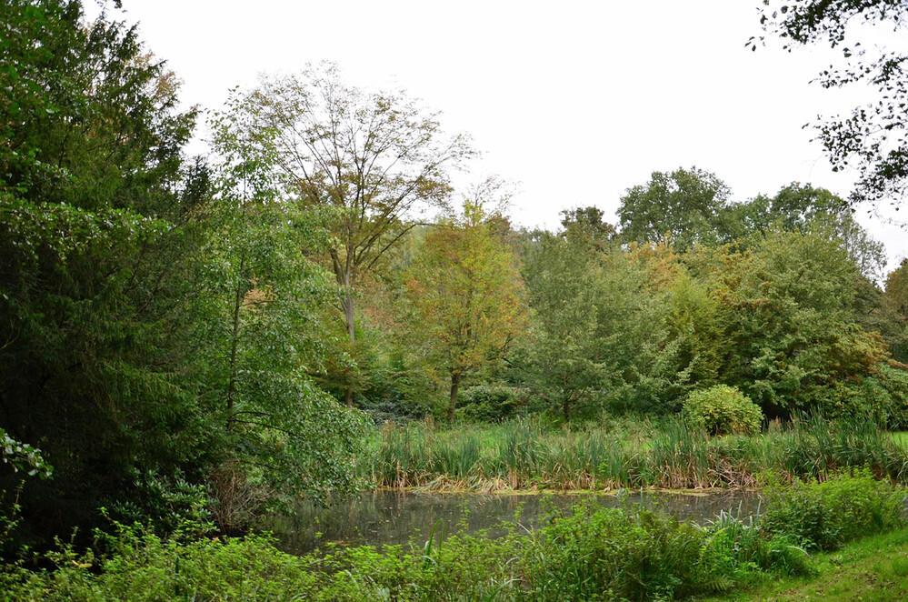 Herbstliches Stillleben "Am See"
Perla
Schlüsselwörter: 2023