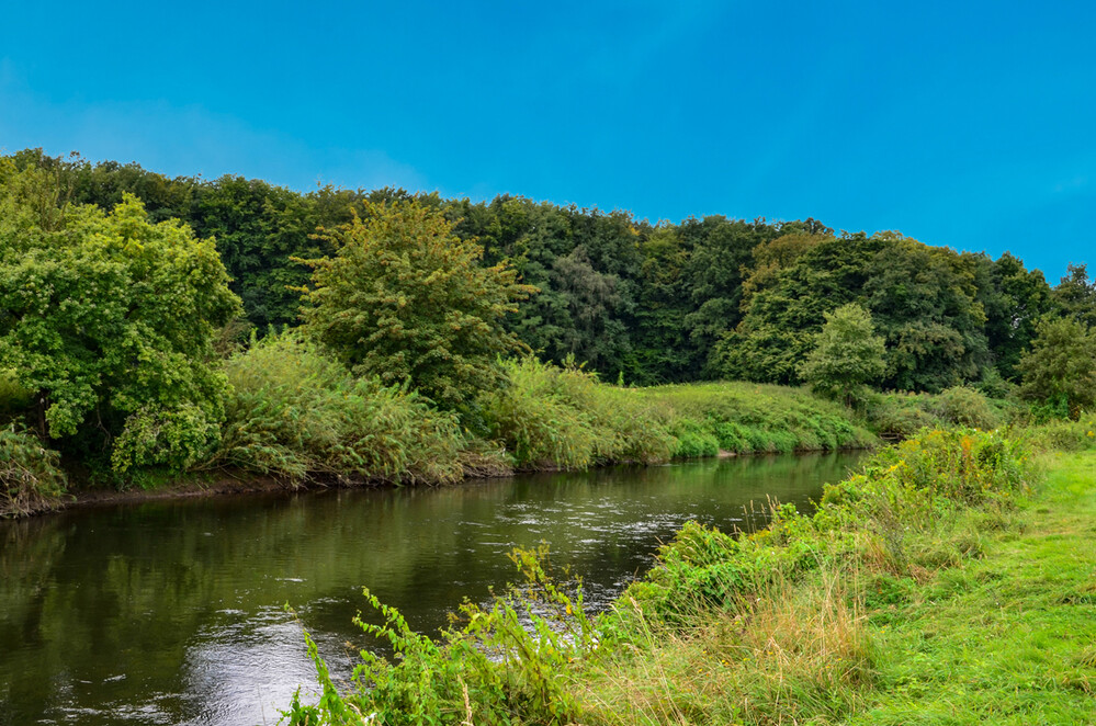 Rund um Bach, Fluss, Kanal und See "Am Ufer"
Perla
Schlüsselwörter: 2024