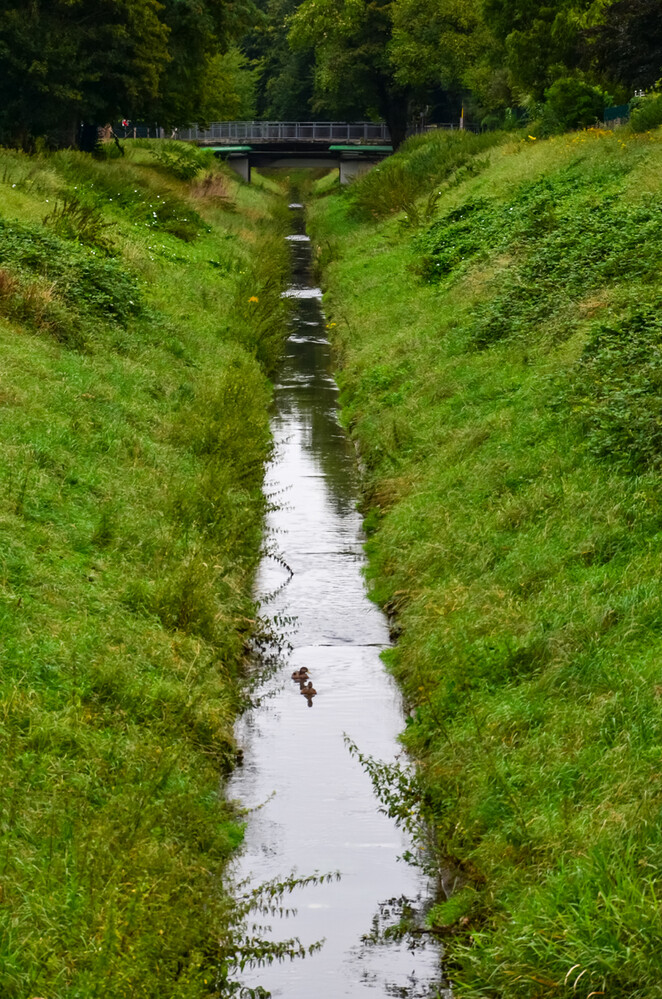 Rund um Bach, Fluss, Kanal und See "Bach"
Perla
Schlüsselwörter: 2024