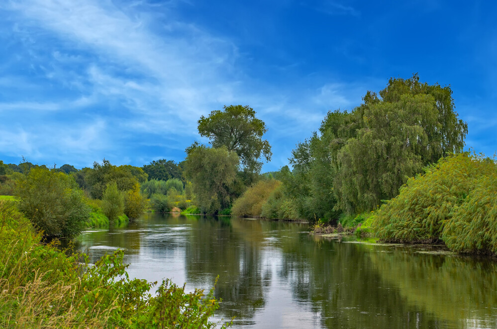 Rund um Bach, Fluss, Kanal und See "Flussverlauf"
Perla
Schlüsselwörter: 2024