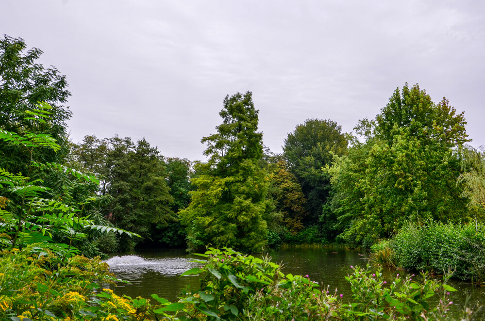 Rund um Bach, Fluss, Kanal und See "Teich"
Perla
Schlüsselwörter: 2024