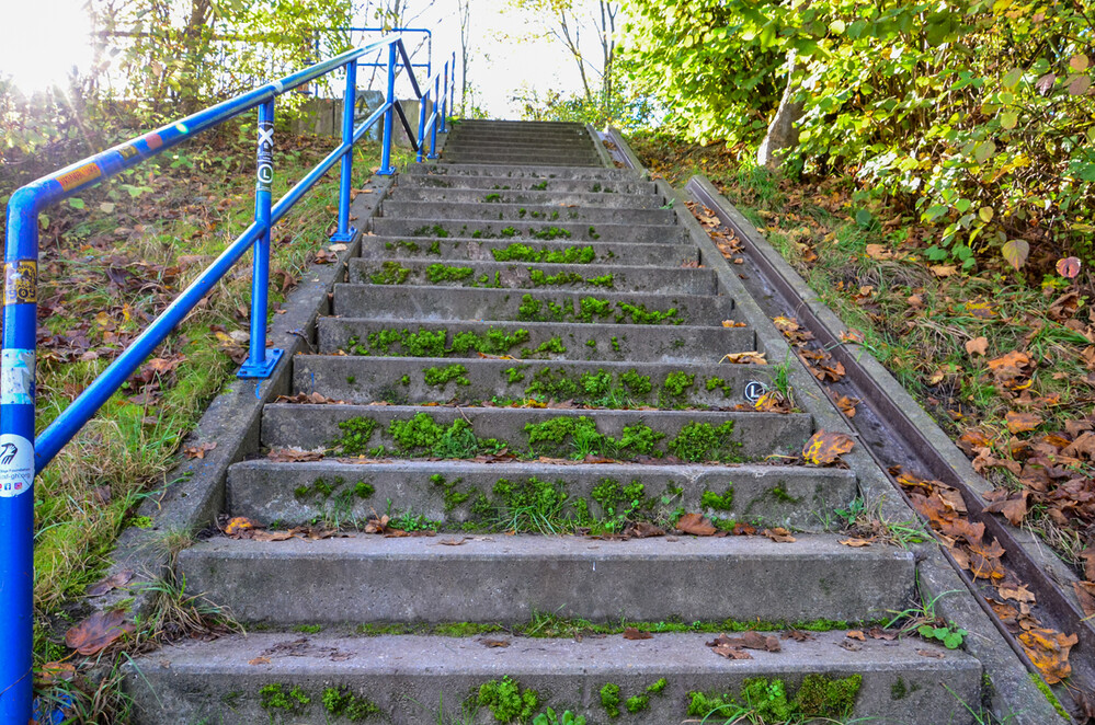 Treppen "Treppe mit Fahrradschienen"
Perla
Schlüsselwörter: 2024