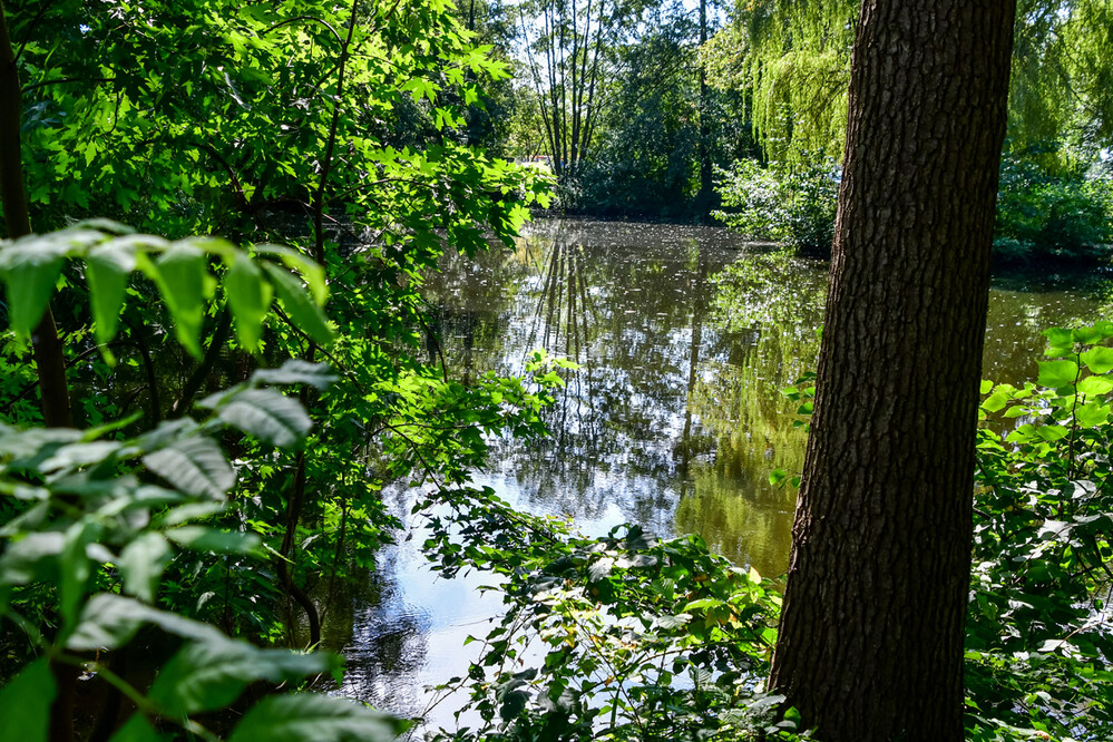 Rund um Bach, Fluss, Kanal und See "Zulauf zum Cappenberger See"
Perla
Schlüsselwörter: 2024