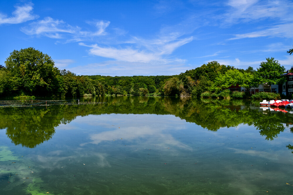 Rund um Bach, Fluss, Kanal und See "Blick über den See"
Roland
Schlüsselwörter: 2024