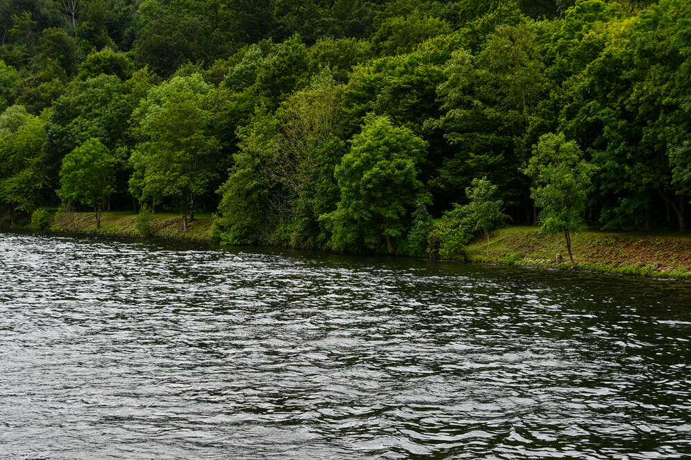 Naturaufnahmen "Blick vom Wasser"
Roland
Schlüsselwörter: 2024