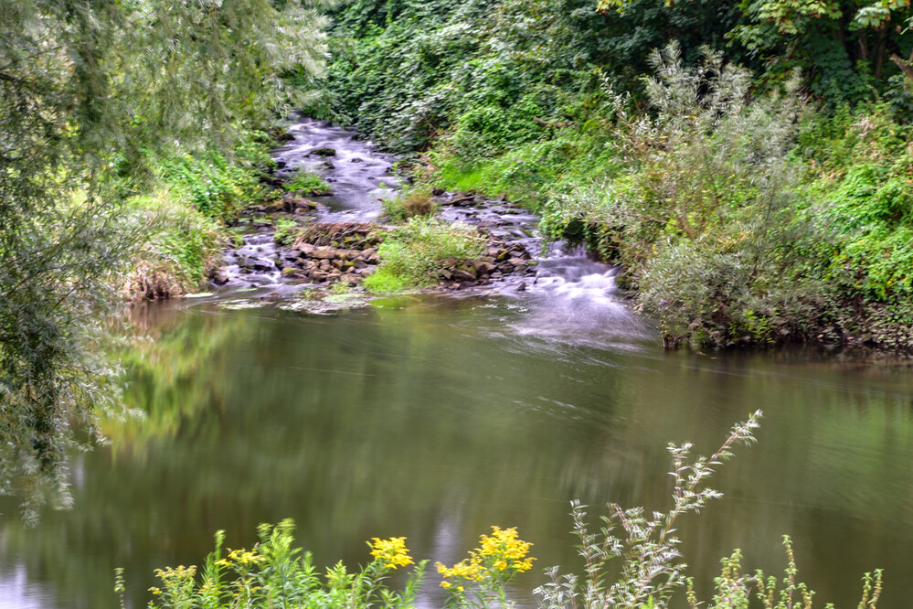 Rund um Bach, Fluss, Kanal und See "Einmündung"
Roland
Schlüsselwörter: 2024