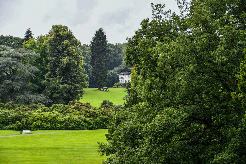 Naturaufnahmen "Park"
Roland
Schlüsselwörter: 2024