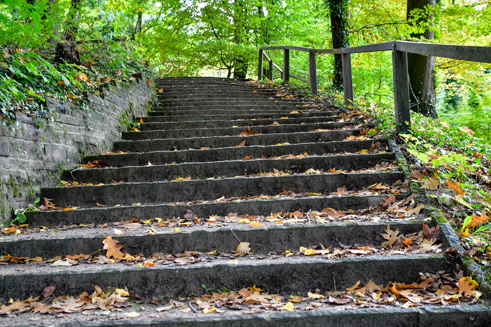 Treppe "Treppe im Park"
Roland
Schlüsselwörter: 2024