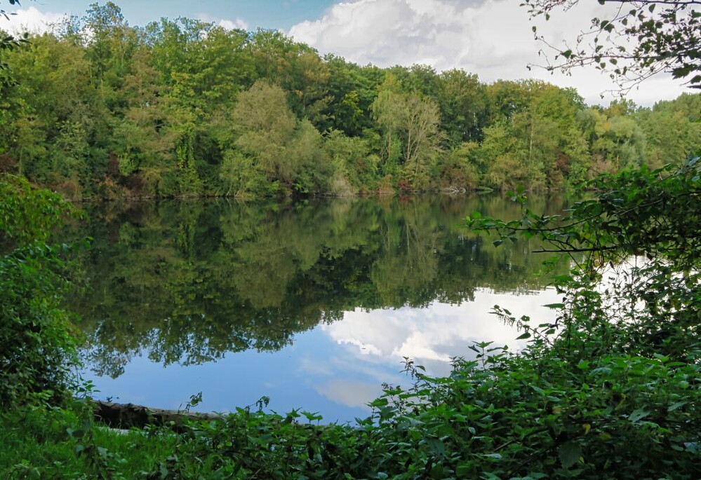 Rund um Bach, Fluss, Kanal und See "Karster See"
Verena
Schlüsselwörter: 2024