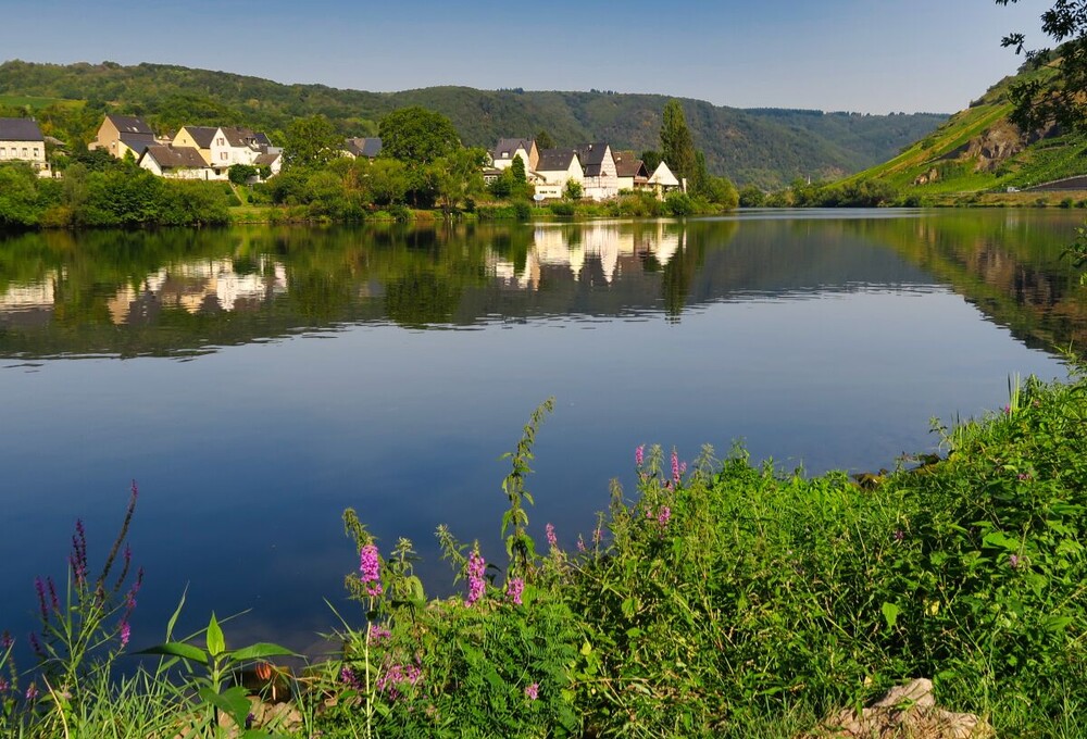 Rund um Bach, Fluss, Kanal und See "Mosel"
Verena
Schlüsselwörter: 2024