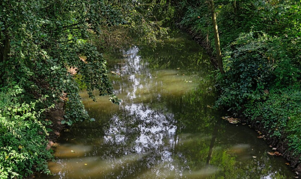 Rund um Bach, Fluss, Kanal und See "Nordkanal"
Verena
Schlüsselwörter: 2024