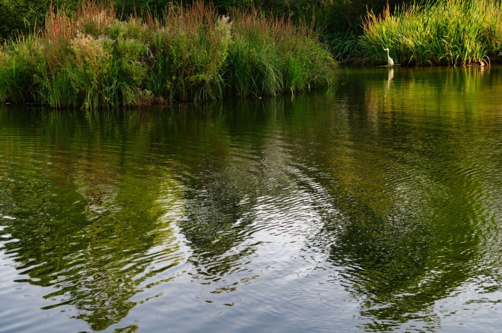 Rund um Bach, Fluss, Kanal und See "Stadtparkteich"
Verena
Schlüsselwörter: 2024