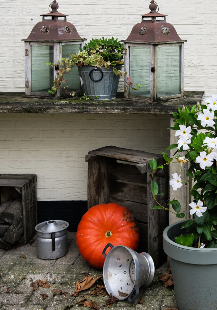 Herbstliches Stillleben "Stillleben mit Kürbis"
Verena
Schlüsselwörter: 2023