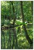 Marianne_Rund_um_Bach2C_Fluss2C_Kanal_und_See_-_Bachlauf_05.jpg