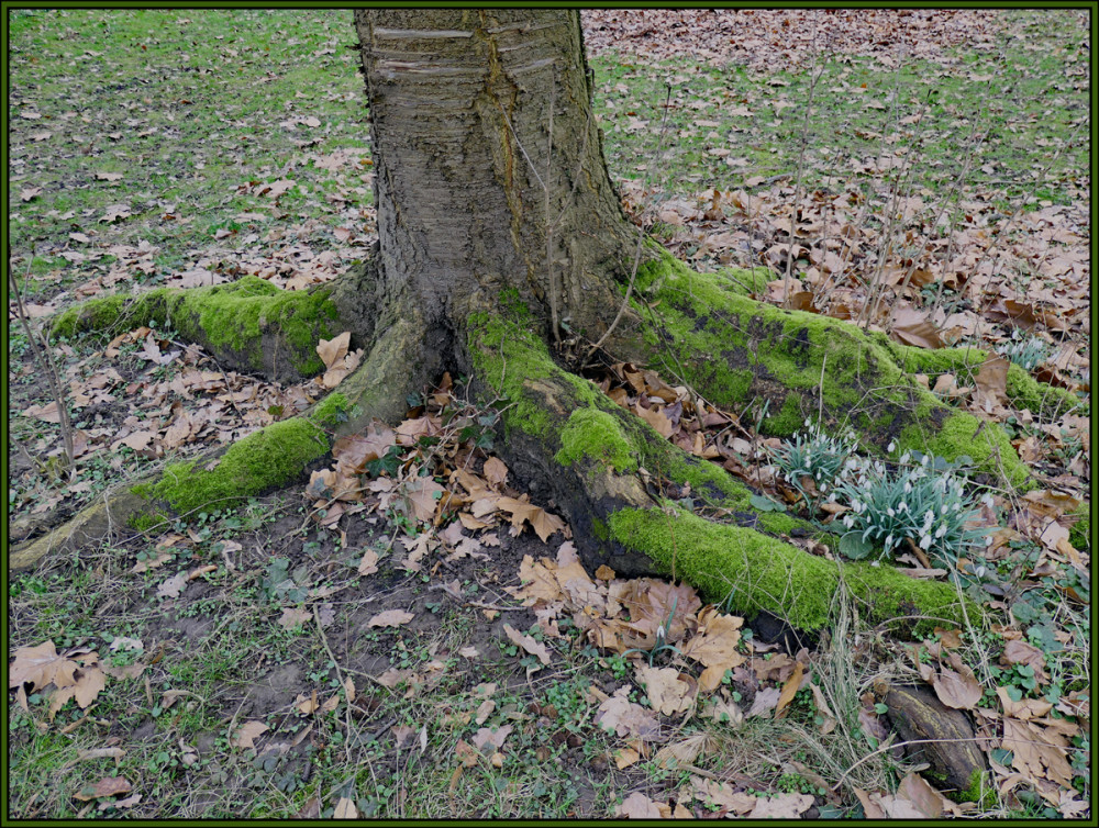 Alles im Park  "DETAIL IM PARK"
Elise
Schlüsselwörter: 2025