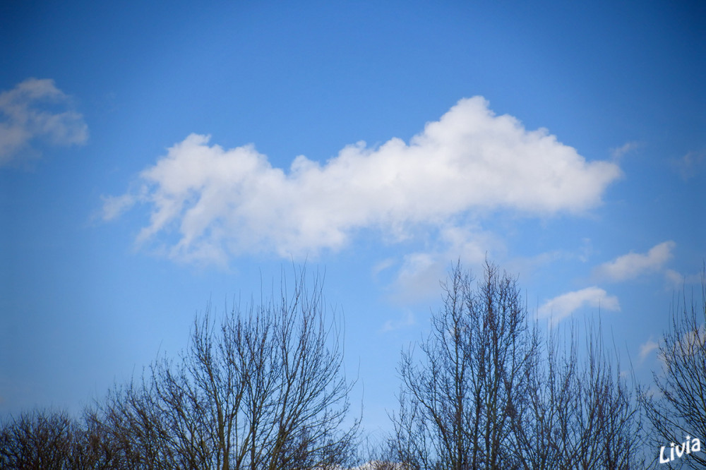 Blauer Himmel 
Schlüsselwörter: 2025