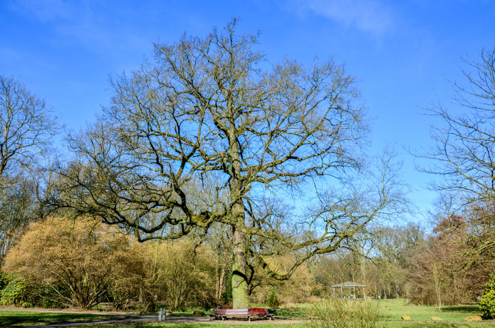 Alles im Park  "Fredenbaumpark"
Perla
Schlüsselwörter: 2025