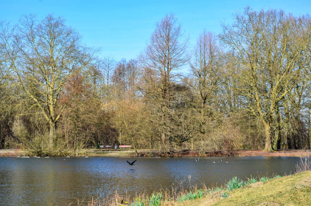 Alles im Park  "Teich"
Perla
Schlüsselwörter: 2025