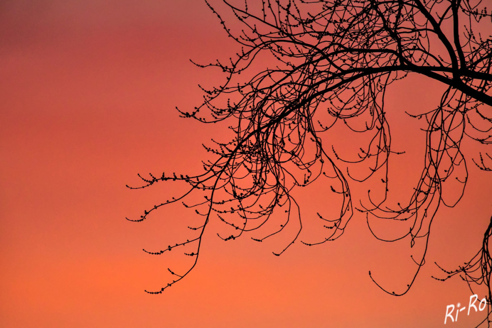 Himmel zur goldenen Stunde
Die orange Farbe des Himmels bei Sonnenuntergang ist auf eine Kombination von Faktoren zurückzuführen, zu denen die Lichtstreuung u. das Vorhandensein von Partikeln in der Atmosphäre gehören. (lt. daswetter)
Schlüsselwörter: 2025