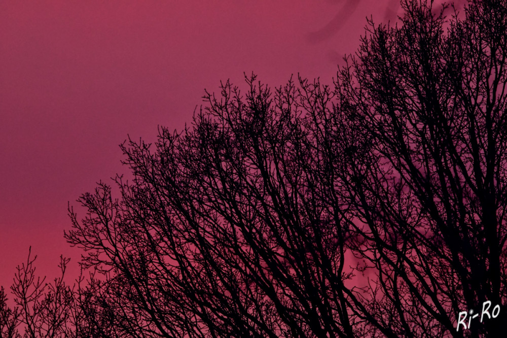 Baumspitzen im Abendhimmel
Der Himmel kann sich bei Sonnenuntergang in ein tiefes Violett färben. Aber warum passiert das? Die Antwort liegt in der Wechselwirkung des Sonnenlichts. (lt. tcjs)


Schlüsselwörter: 2025