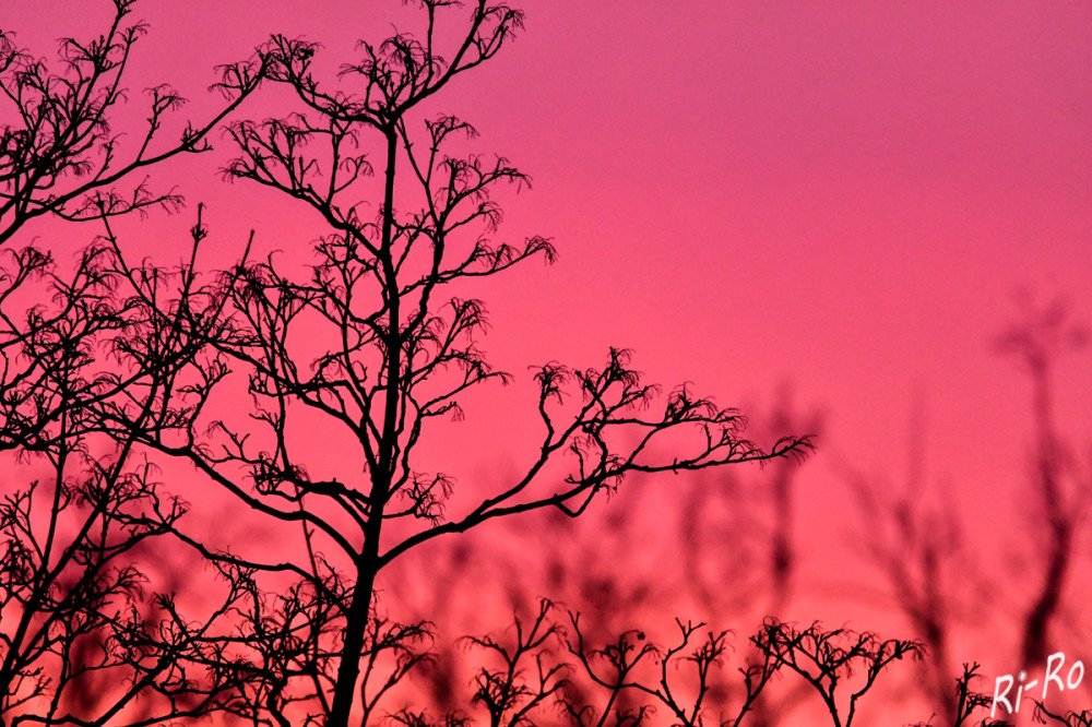 Silhouette
sie ist eine besondere Darstellungsform eines Gegenstandes. Die Umrisse des Objektes werden durch eine einfarbige Kontur, die sogenannte Silhouette, abgebildet. Die farbige Kontur hebt sich dadurch vom hellen oder dunklen Hintergrund ab. (lt. praxistipps.focus)
Schlüsselwörter: 2025