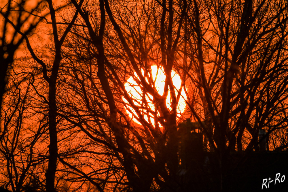 Sonnenuntergang
Tagsüber erscheint der wolkenlose Himmel blau, morgens oder abends jedoch orange bis rot. Das Geheimnis hinter diesem Farb-Duo liegt in der Art, wie das Sonnenlicht in der Atmosphäre gestreut wird. (weltderphysik)
Schlüsselwörter: 2025