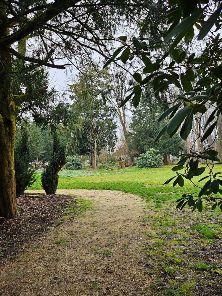 Alles im Park  "Einblick - Rittergut Birkhof"
Ralf
Schlüsselwörter: 2025