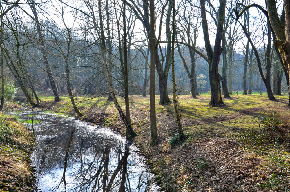 Alles im Park  "Bachlauf"
Roland
Schlüsselwörter: 2025